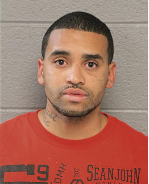 LUIS CASTRO, Cook County, Illinois