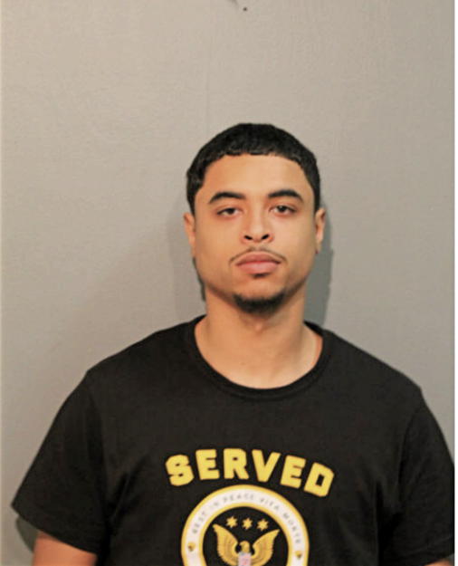 CHRISTOPHER F DAVIS, Cook County, Illinois