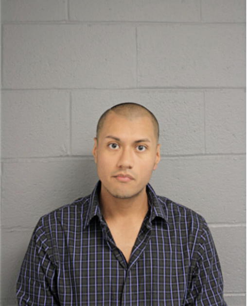 CARLOS DELGADILLO, Cook County, Illinois
