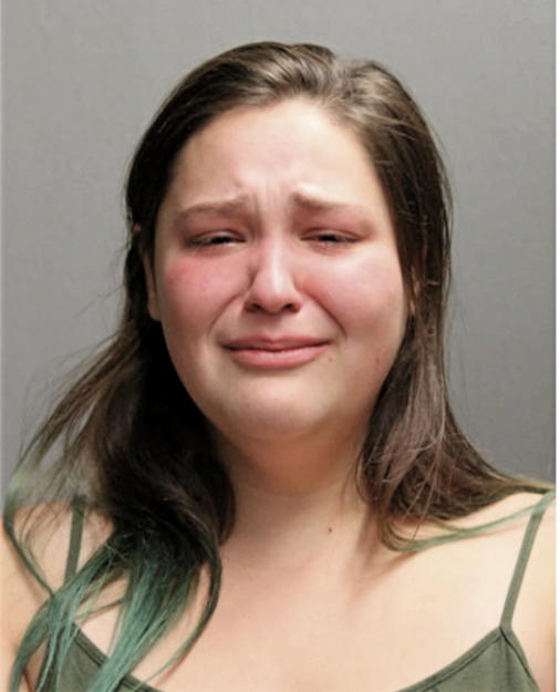 JAMIE E DOLIS, Cook County, Illinois