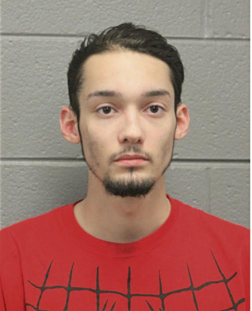 JOSHUA CHRISTOPHER FONTANEZ, Cook County, Illinois
