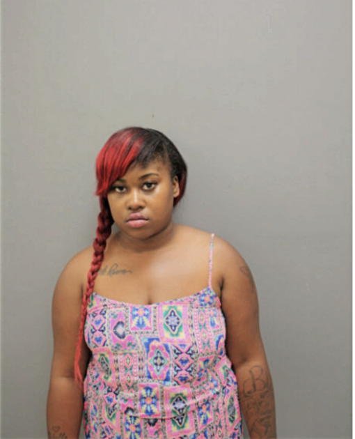 MICHELLE A GARDNER, Cook County, Illinois