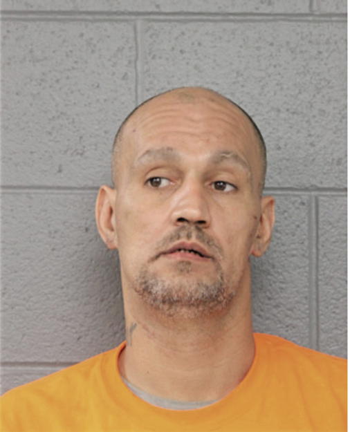 JOHN T GARNICA, Cook County, Illinois