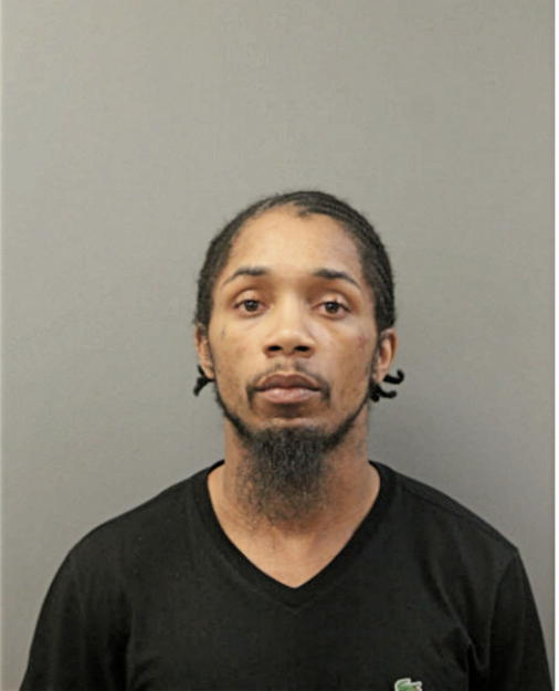 TERRELL V HOLT, Cook County, Illinois