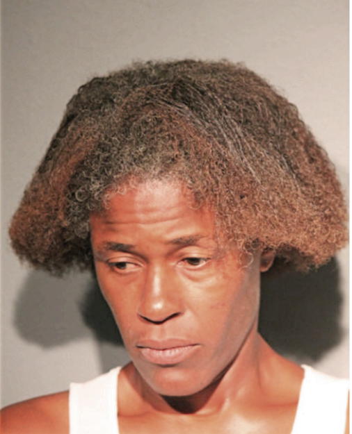 PATRICIA L LANE, Cook County, Illinois