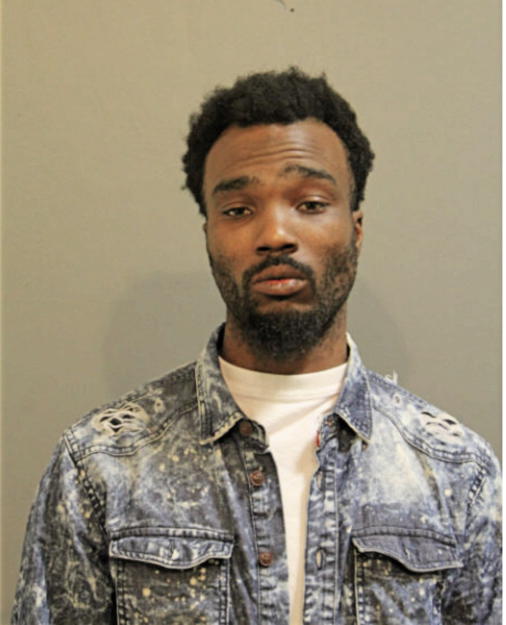 JULIAN D LEWIS, Cook County, Illinois