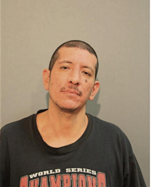 THOMAS A MAGANA, Cook County, Illinois