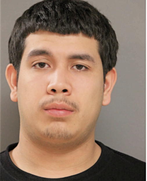 MICHAEL DIAZ MARTINEZ, Cook County, Illinois