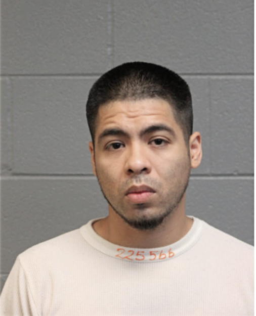 RICARDO C MARTINEZ, Cook County, Illinois
