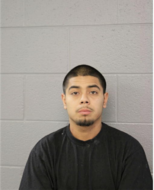 RENE M MENDOZA, Cook County, Illinois