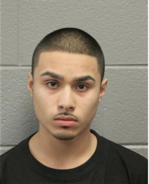 JOSHUA M MOHAMMED, Cook County, Illinois