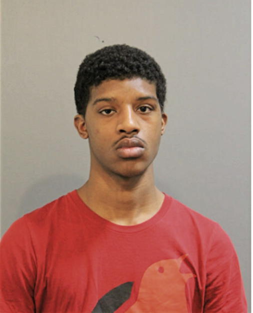 ETHAN J NICHOLSON, Cook County, Illinois