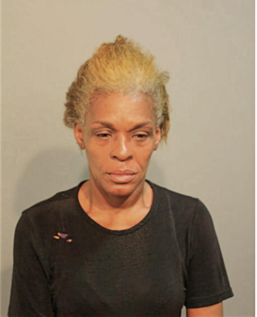 DEDRA R NOEL, Cook County, Illinois