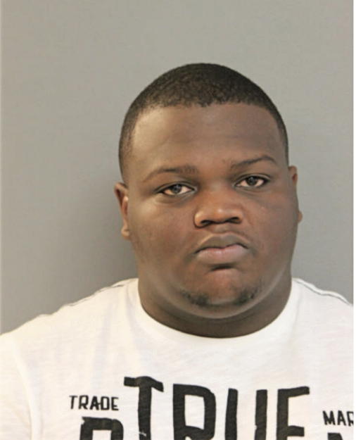JAMES E NOEL, Cook County, Illinois