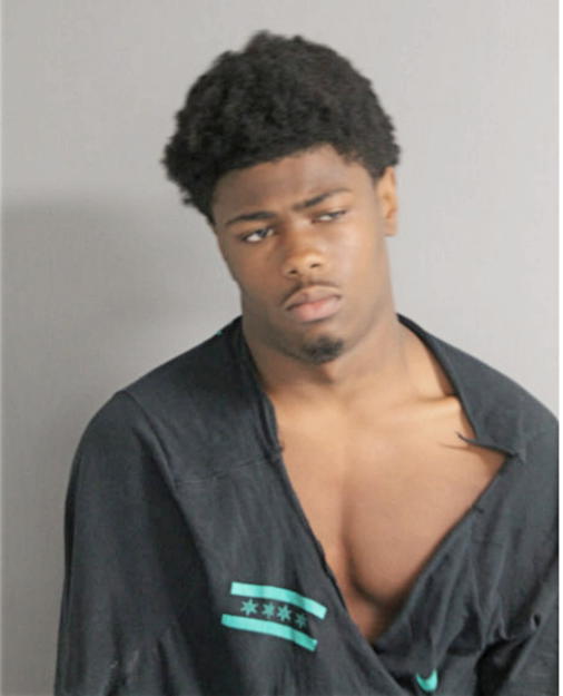 JAMARI T PERSON, Cook County, Illinois