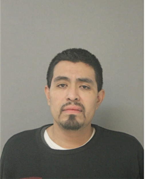 ABELARDO PINEDA, Cook County, Illinois