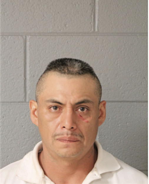 ADOLFO O REYES, Cook County, Illinois