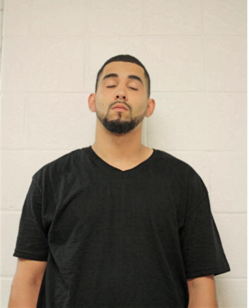 CHRISTOPHER ROMAN, Cook County, Illinois