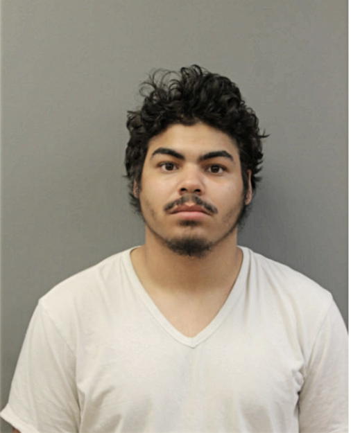 JORGE L SANCHEZ, Cook County, Illinois