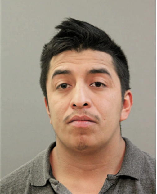 LEONEL VARGAS-SOLANO, Cook County, Illinois