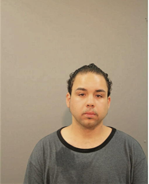 NELSON VEGA, Cook County, Illinois
