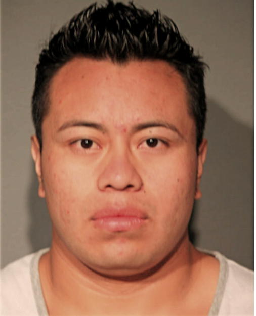 ANDERSON ALVERAZ, Cook County, Illinois