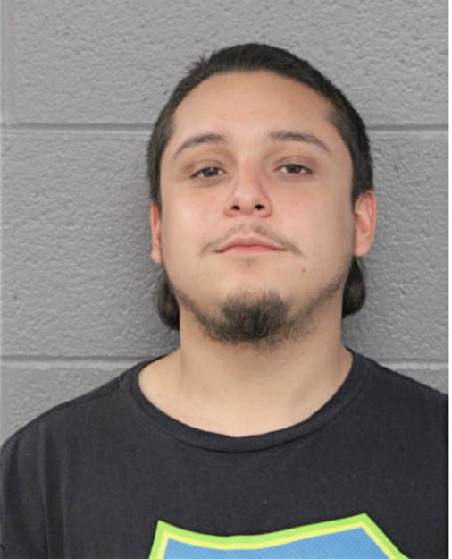 OSVALDO AVALOS, Cook County, Illinois