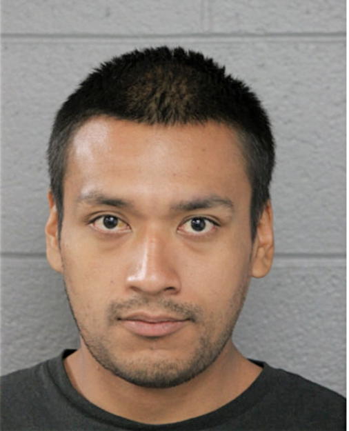 DAVID BAHENA, Cook County, Illinois