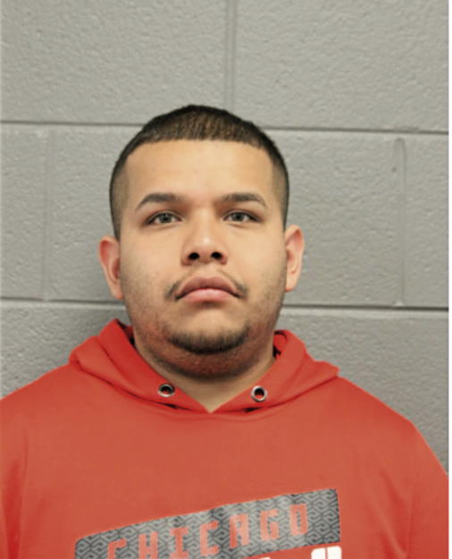 HENRY BAHENA, Cook County, Illinois