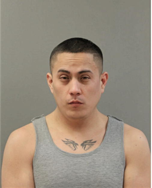OSCAR BELMONTE-HERRIER, Cook County, Illinois