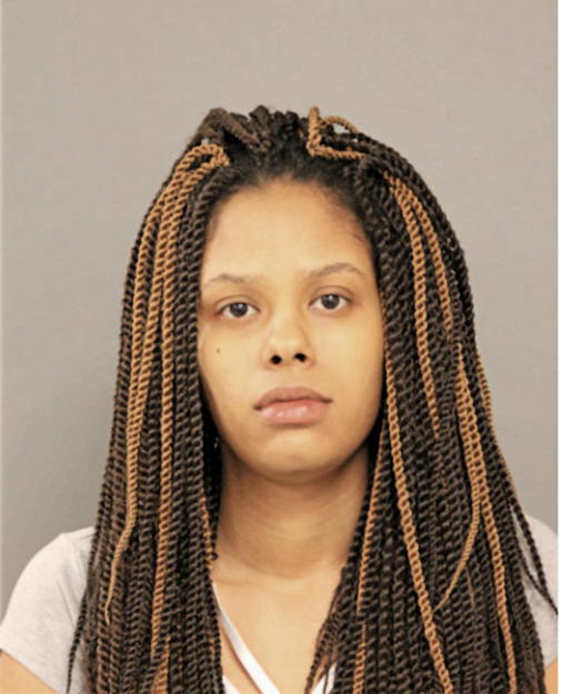 PAMELA J BOGDANOVSKI, Cook County, Illinois