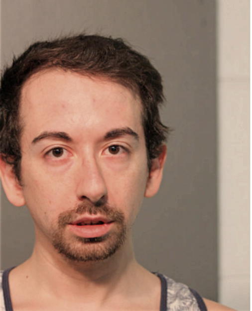 DOMINIC E BOYTE, Cook County, Illinois