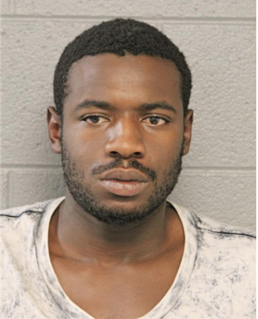 DEMONTAE D BRADLEY, Cook County, Illinois