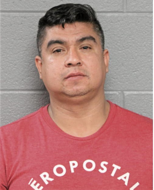 RAUL GARCIA CAMPOS, Cook County, Illinois