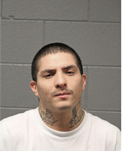 GINO M CARRASCO, Cook County, Illinois