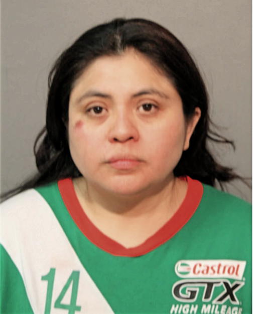 MONDRAGON CASTREJON, Cook County, Illinois