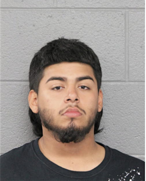 DAMIEN A CHAVEZ, Cook County, Illinois