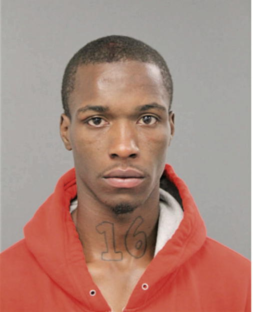 BRANDON D DEW, Cook County, Illinois