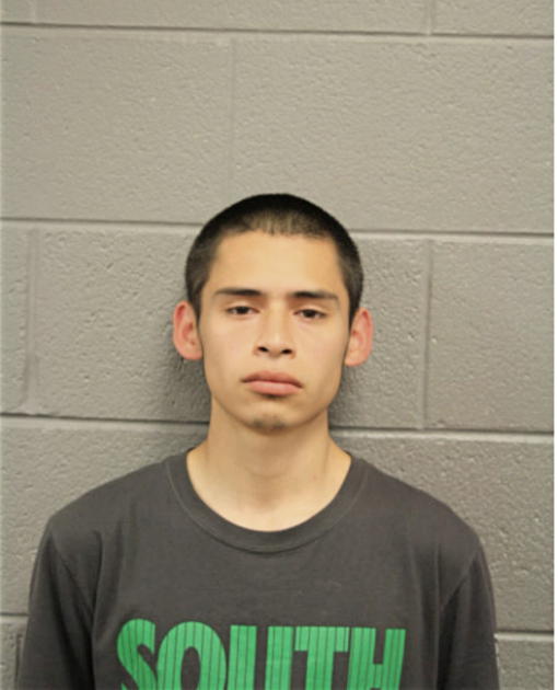 DENNIS FERNANDEZ, Cook County, Illinois