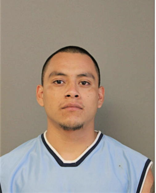 ALIN HERNANDEZ, Cook County, Illinois
