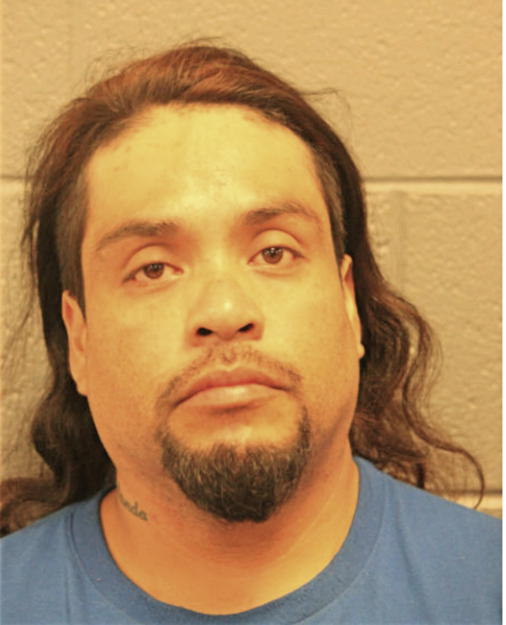 ROBERTO C HERNANDEZ-ORTIZ, Cook County, Illinois