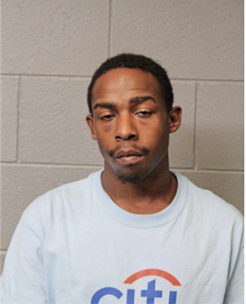 JAMES E HUDSON, Cook County, Illinois