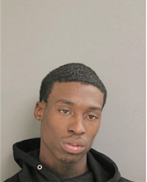JULIAN H HURNES, Cook County, Illinois