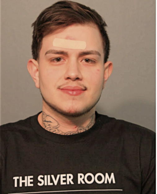 ERIC LOZANO, Cook County, Illinois