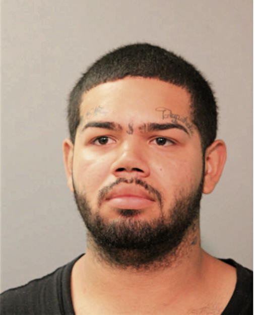 JUSTIN MENDOZA, Cook County, Illinois