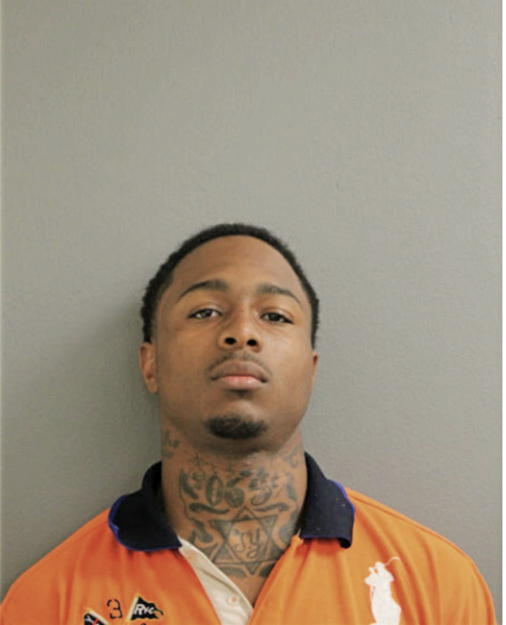 DION NEWMAN, Cook County, Illinois