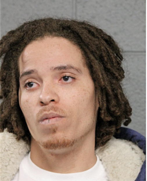 ERNEST T RICH, Cook County, Illinois