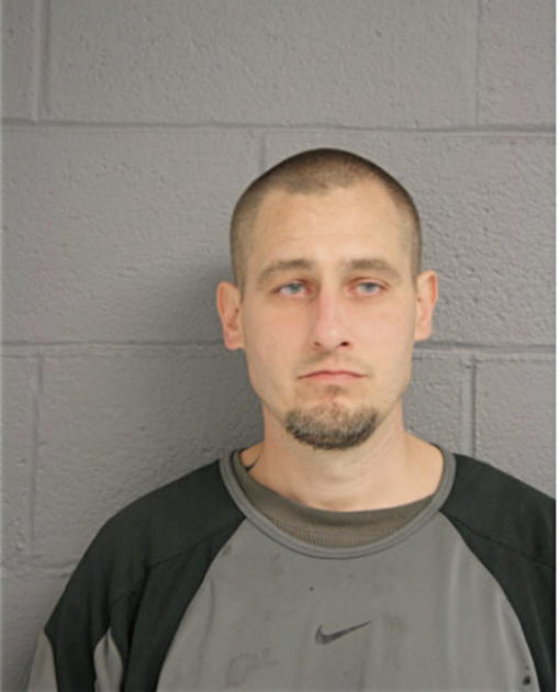 SHAWN R THIEDE, Cook County, Illinois