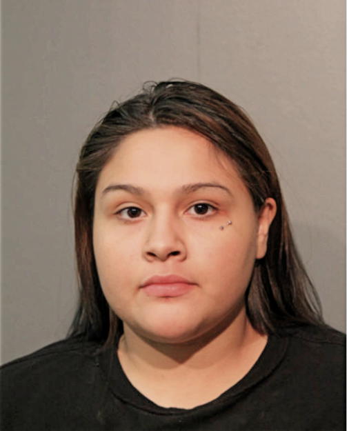 DIANA G VILLA, Cook County, Illinois