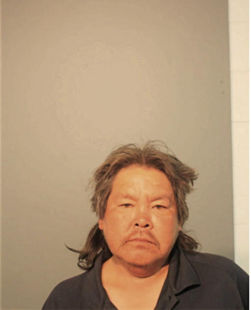 CHRISTOPHER W WALUNGA, Cook County, Illinois